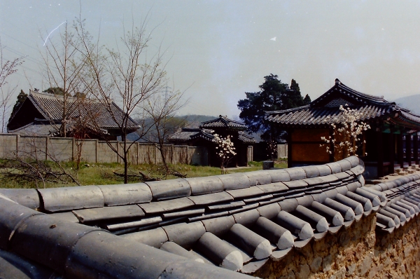 1989년 촬영한 광주향교 모습