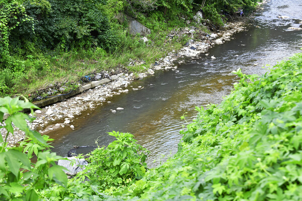 시커먼 오수가 맑은물과 대조를 이루며 한강으로 흘러들어가고 있다.